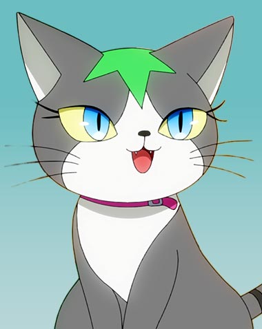 ニャンデスター